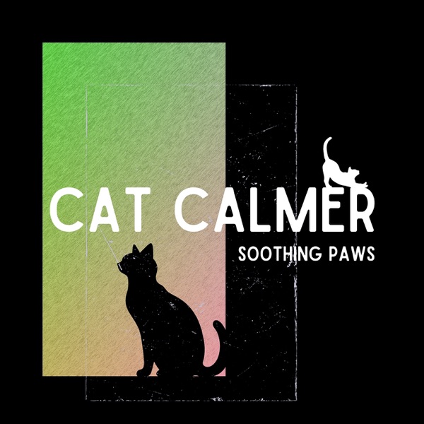 Soothing Paws: Easing Feline Stress