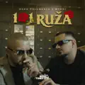 101 ruza