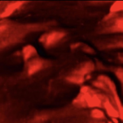 krbstomp^-^ - Single