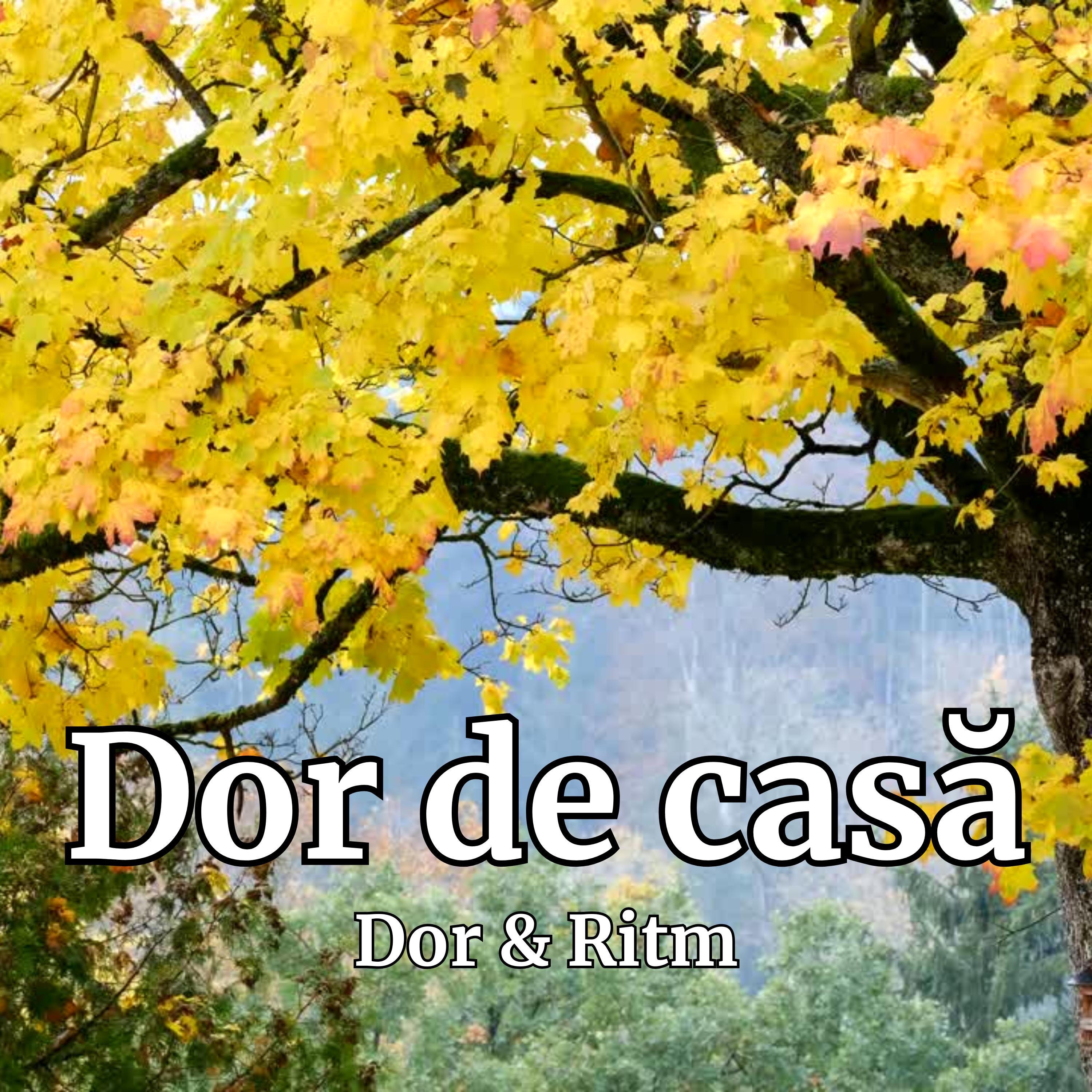 Dor de casă - Single