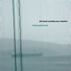 The Boat Outside Your Window - Thalia Zedek Band