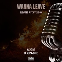 Wanna Leave [Elevated Pitch Version] - Single - Kayode