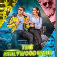 Tere bollywood wale - Single - Sahil satrawala
