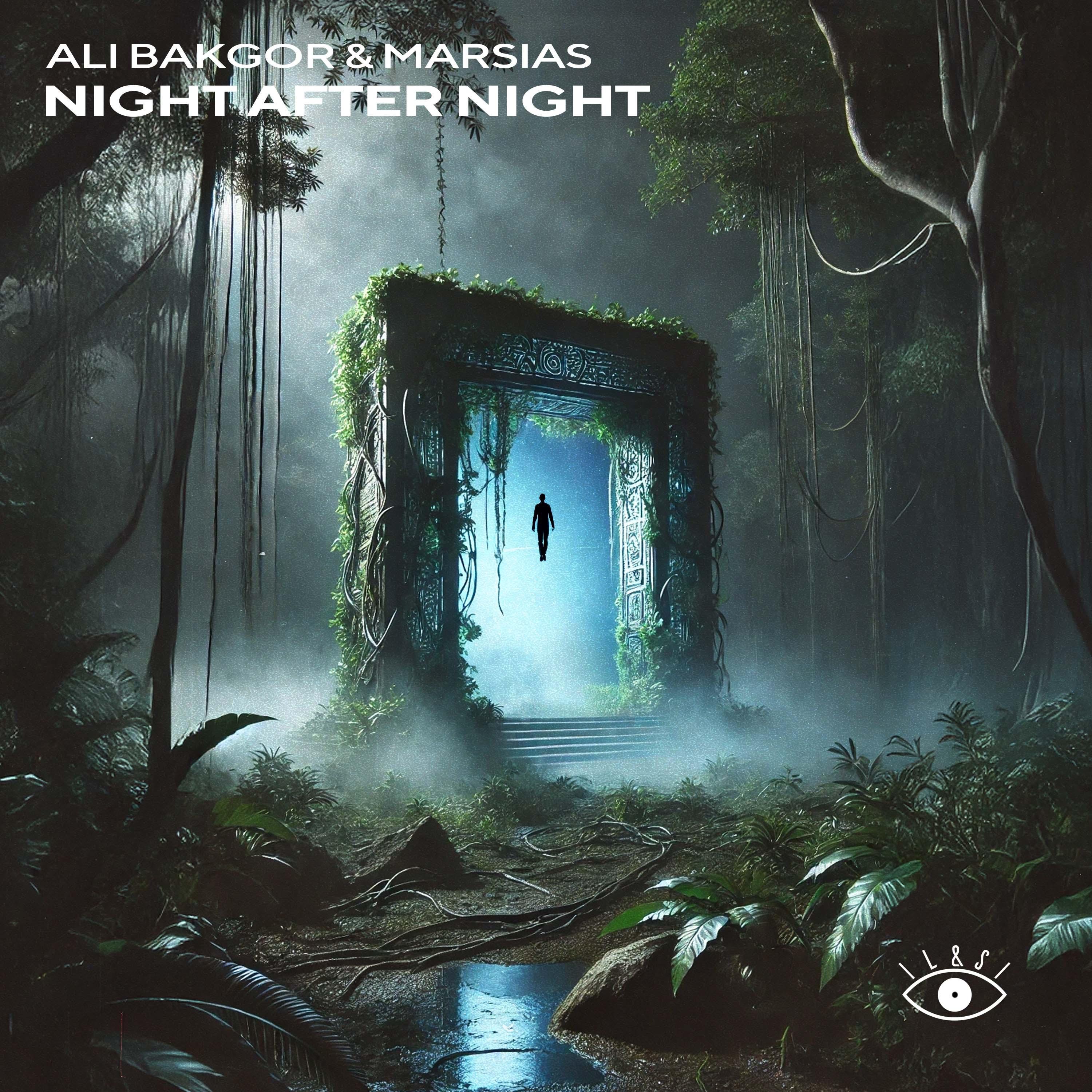 Night After Night - Single