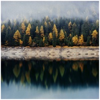 Kaizen (Slowed) - Single - Carlos Hof