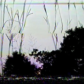 leaveitatthetone (feat. Jesse Barnett) trees & Kid Andre