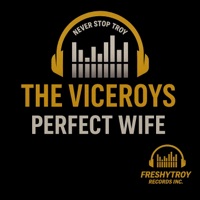 Perfect Wife - Single - The Viceroys