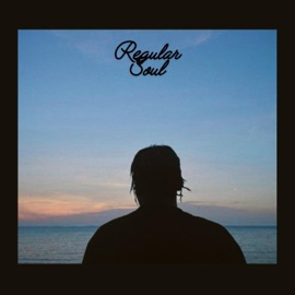 Regular Soul (feat. $hyli & Grand L) Mac James