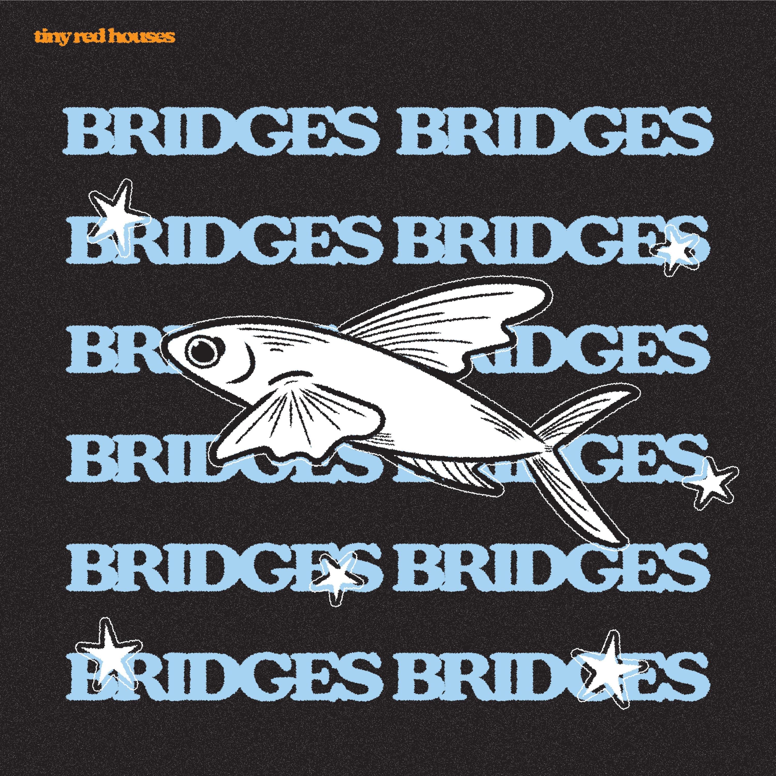 Tiny Red Houses - bridges