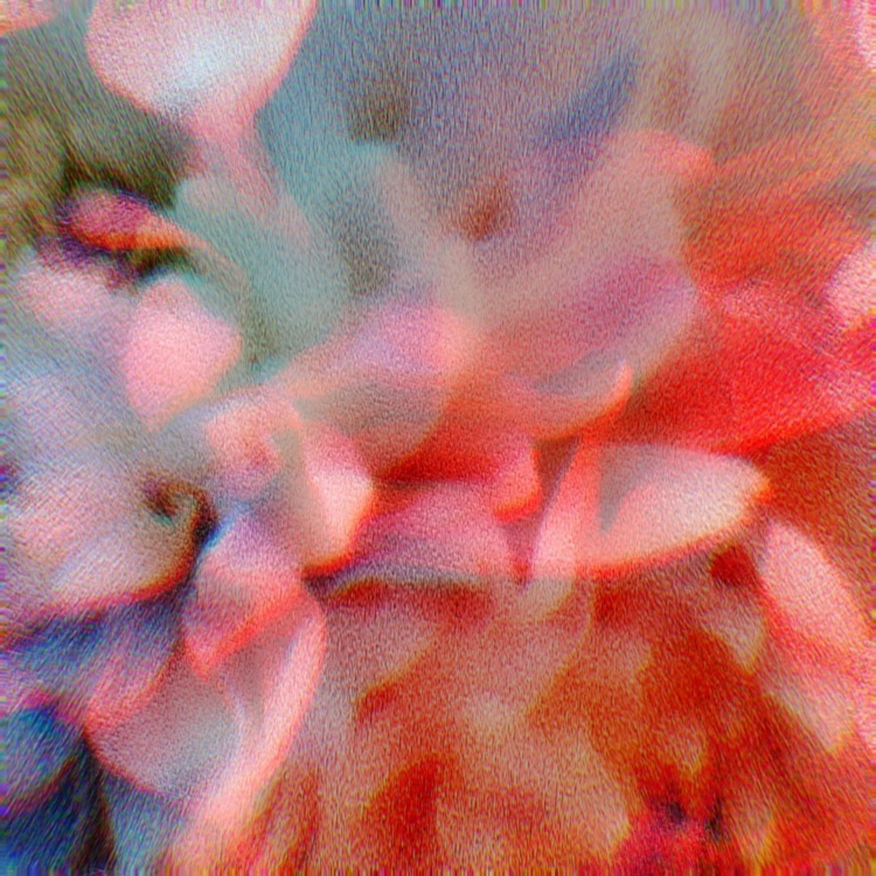 Encoded Language