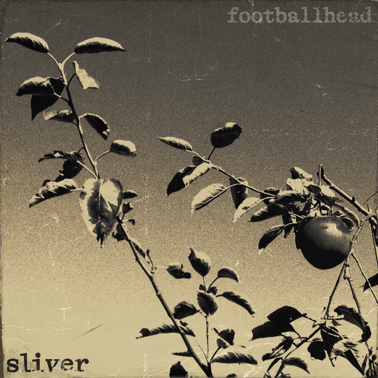 FOOTBALLHEAD – Sliver – Single (2024) [iTunes Match M4A]