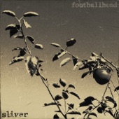 Sliver artwork