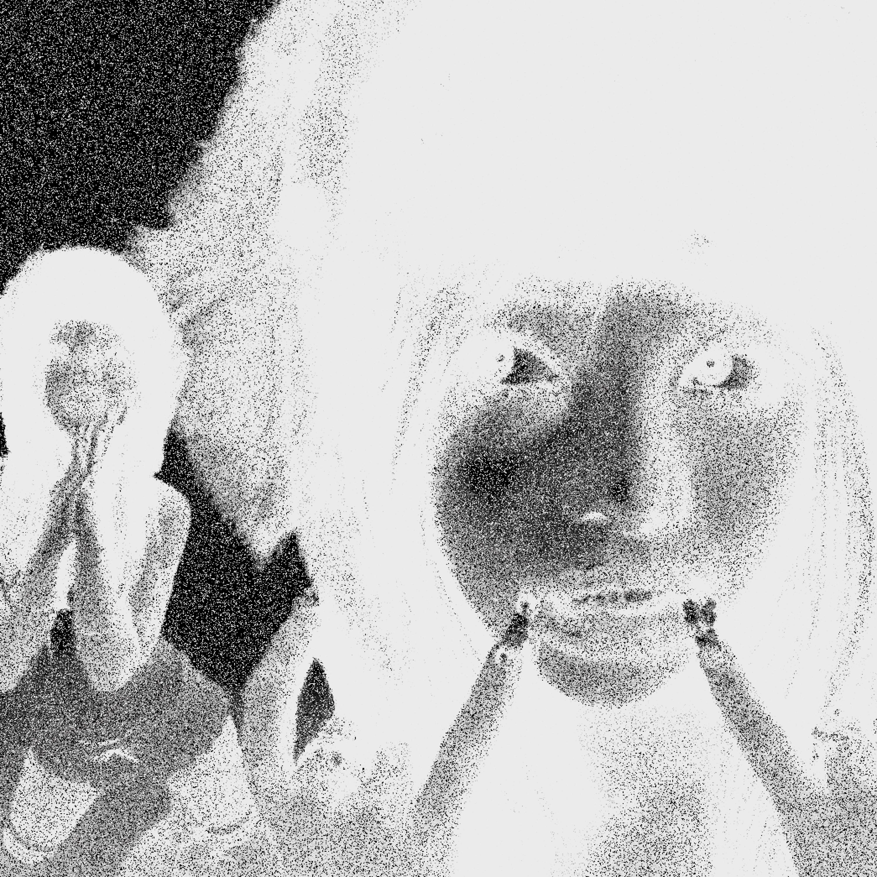 Diamonds - Conway The Machine & Roc Maciano