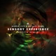 Sensory Experience Krypta Remix Single