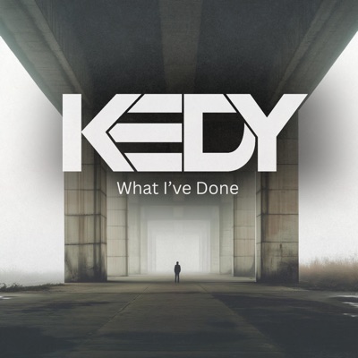 What I've Done (Techno Mix) - Single