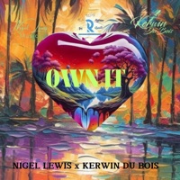 OWN IT (feat. kerwin dubois) - Single - Nigel Lewis