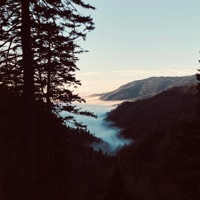 The Proverbs 31 girl (feat. Tylan1k) - Single - Fribble