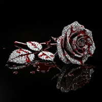 I'm So Confused (feat. Jonah Zed, Planet Giza & Kwe the artist) - Single - Vindi.