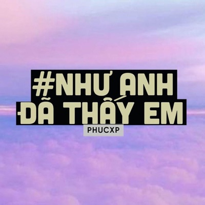 Như Anh Đã Thấy Em (Lofi Ver.) - Single
