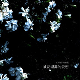 被花埋葬的爱恋 (伴奏) 王忻辰 & 徐靖雯