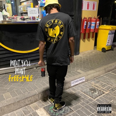 What Ya'll want Freestyle (feat. Kocaine Ghost) - Single
