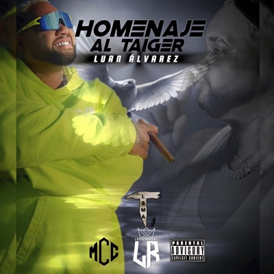 Homenaje al Taiger - Single