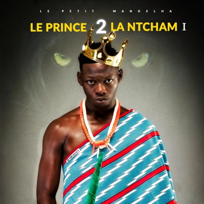 Song - DAMER - Le Petit Mandelha