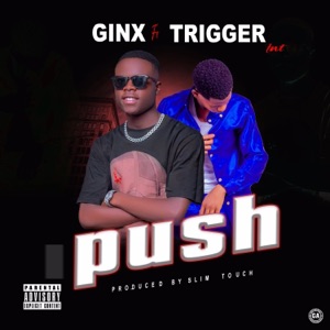 Push (feat. trigger Int)