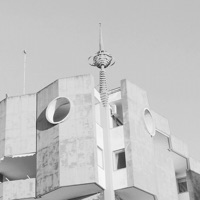 Talkin Trees - Davide Piras