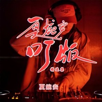 夏婉安DJ版精选集2 - 夏婉安