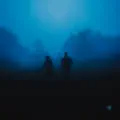 your voice