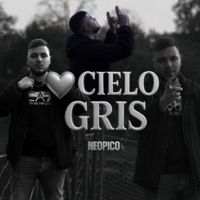 Cielo Gris - Single - Neopico