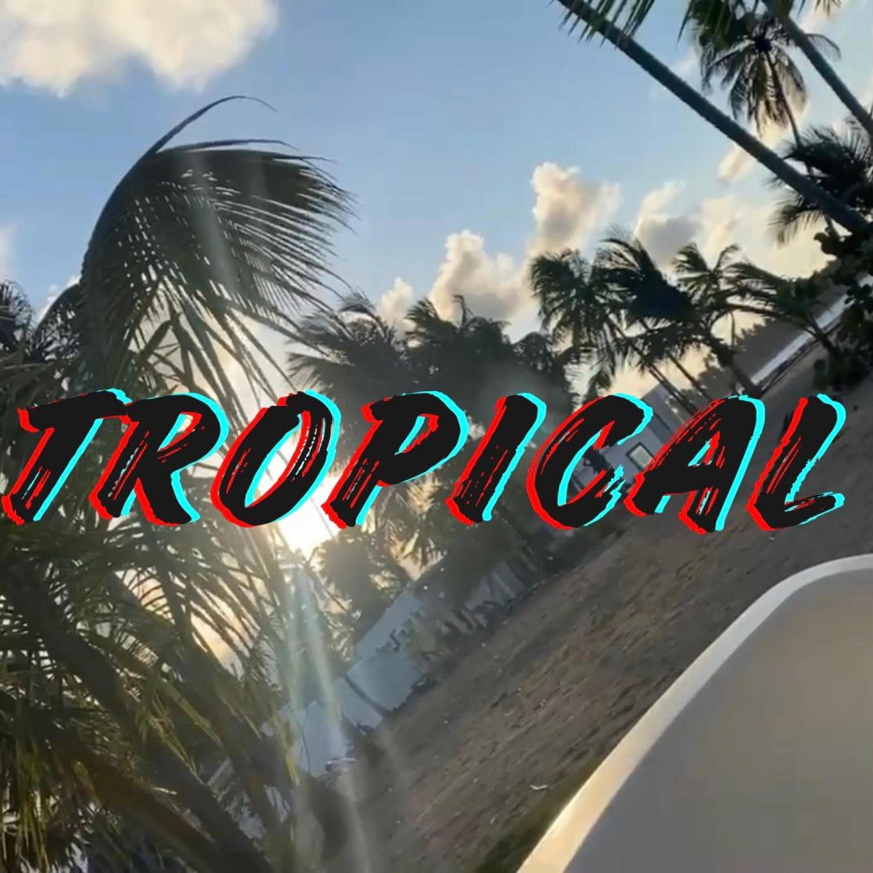 Reggaeton Tropical - Single