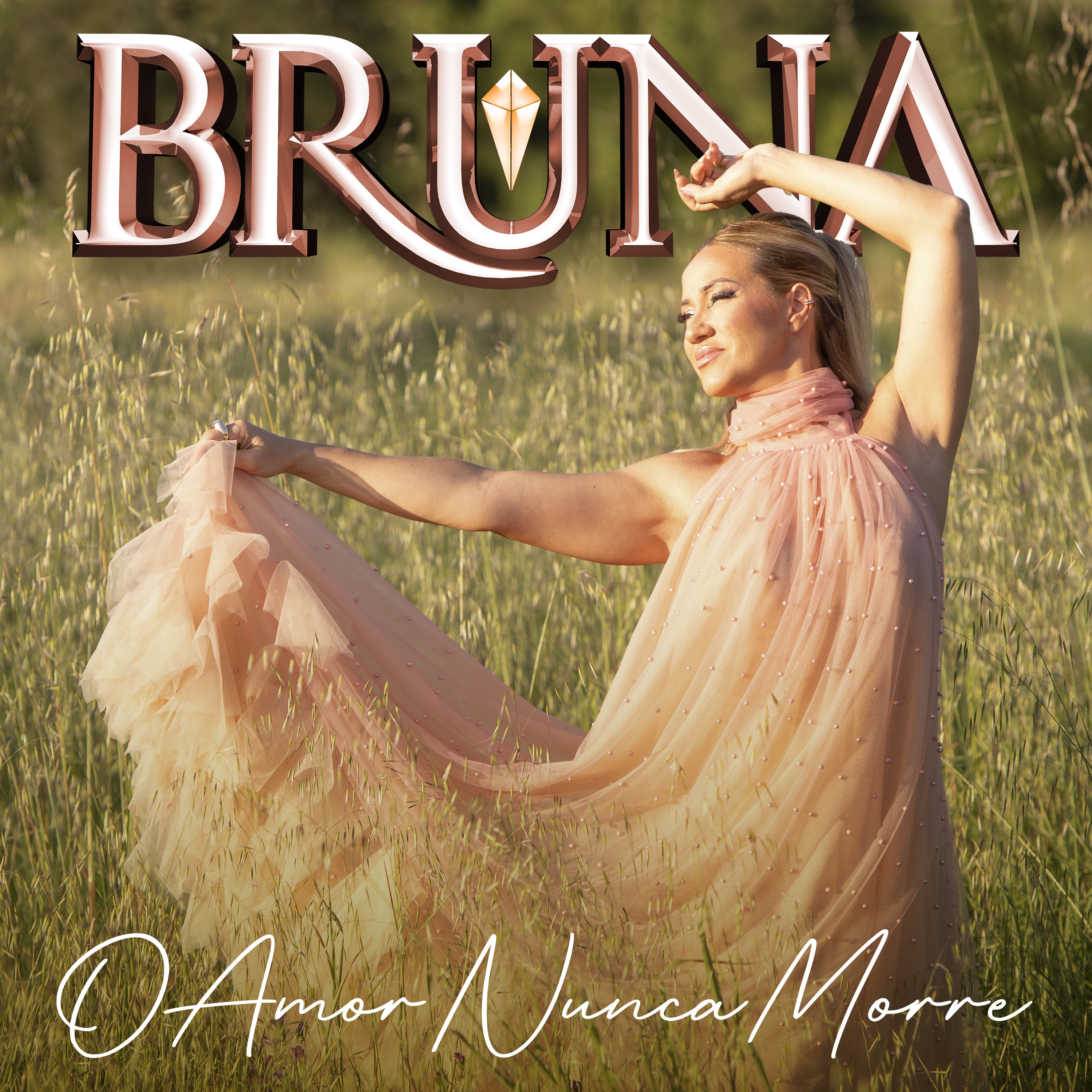 O Amor Nunca Morre - Single