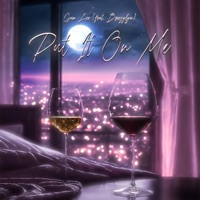 Put It On Me (feat. BreezyLYN) - Single - Gun Lee