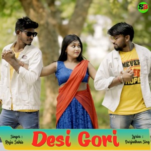 Desi Gori