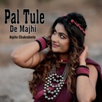 Pal Tule De Majhi - Single