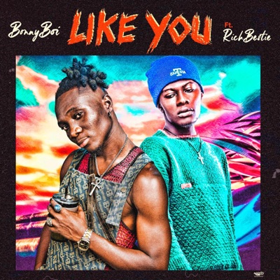 Like You (feat. Rich Bestie) - Single