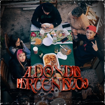 A Donde Pertenezco (feat. Dvann) - Single