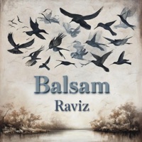 Balsam - Single - Raviz