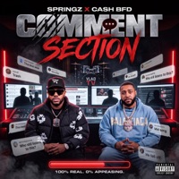 Comment Section (feat. Cash BFD) - Single - Springz