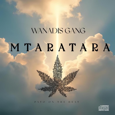 Mtaratara (feat. Dtato) - Single