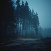 flowers - Single - lonely.