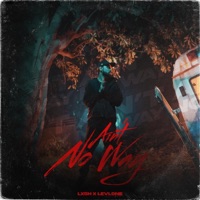 Ain't No Way (feat. Levl9ne) - Single - LXSH