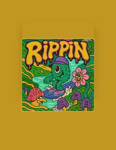 Listen to Schloob, watch music videos, read bio, see tour dates & more!