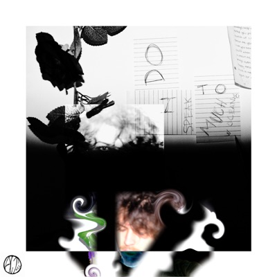 DO I SPEAK TO MUCH - Single