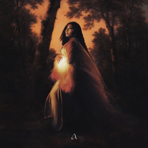Ultrasound - Single