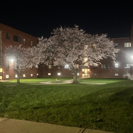 Just Life (feat. Mes-Geo) Waters Splash