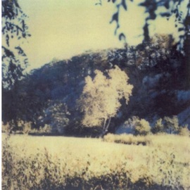 I Deserve A Little Bit More (feat. missingno.) Korusai