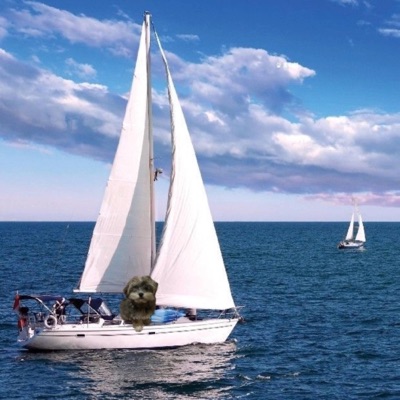 sailboat